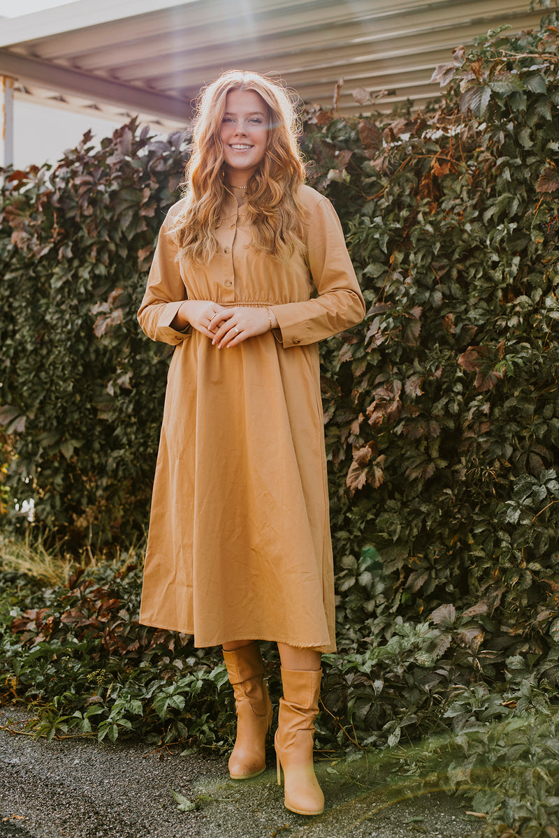Aimee Dress