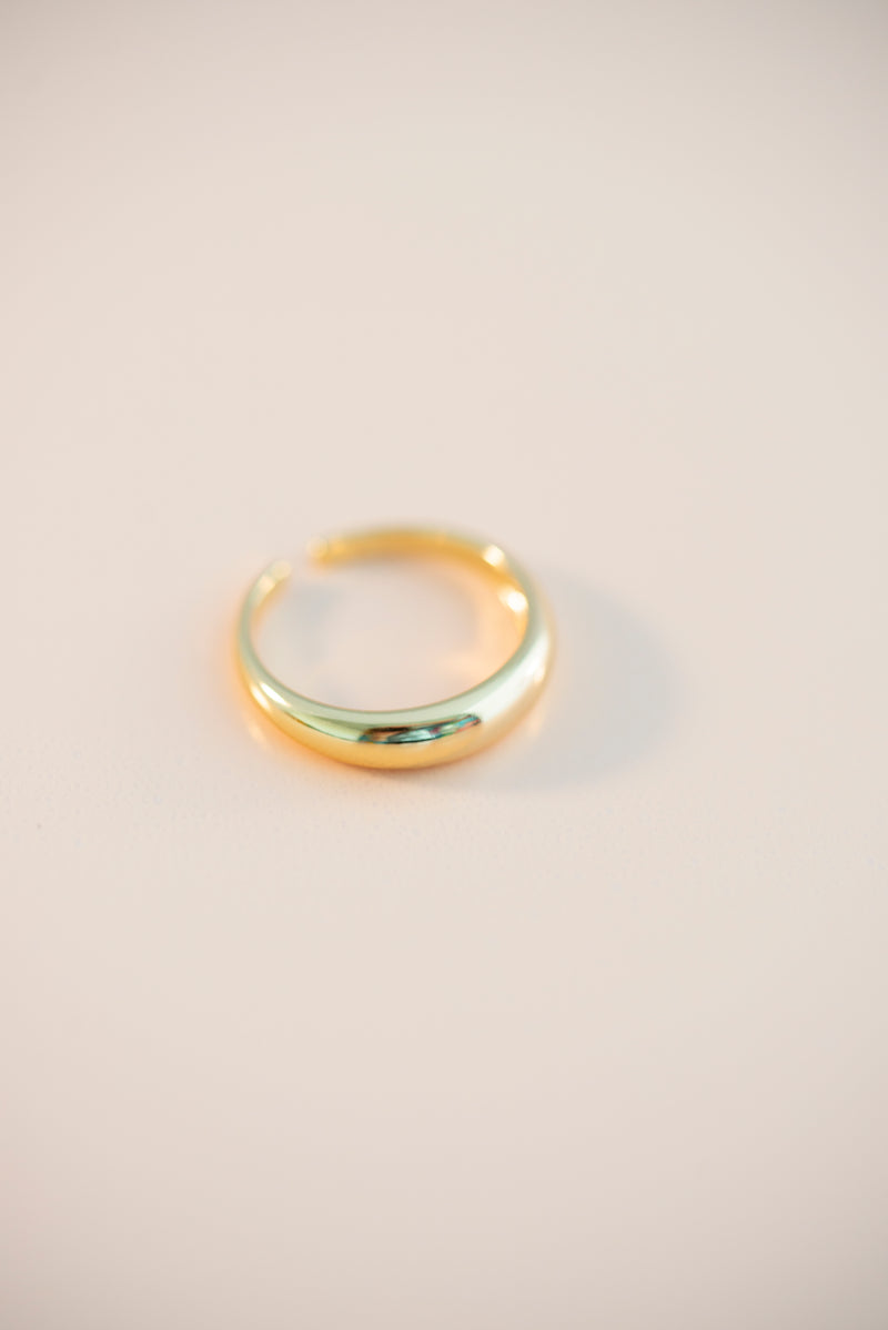 18K Gold Filled Ring