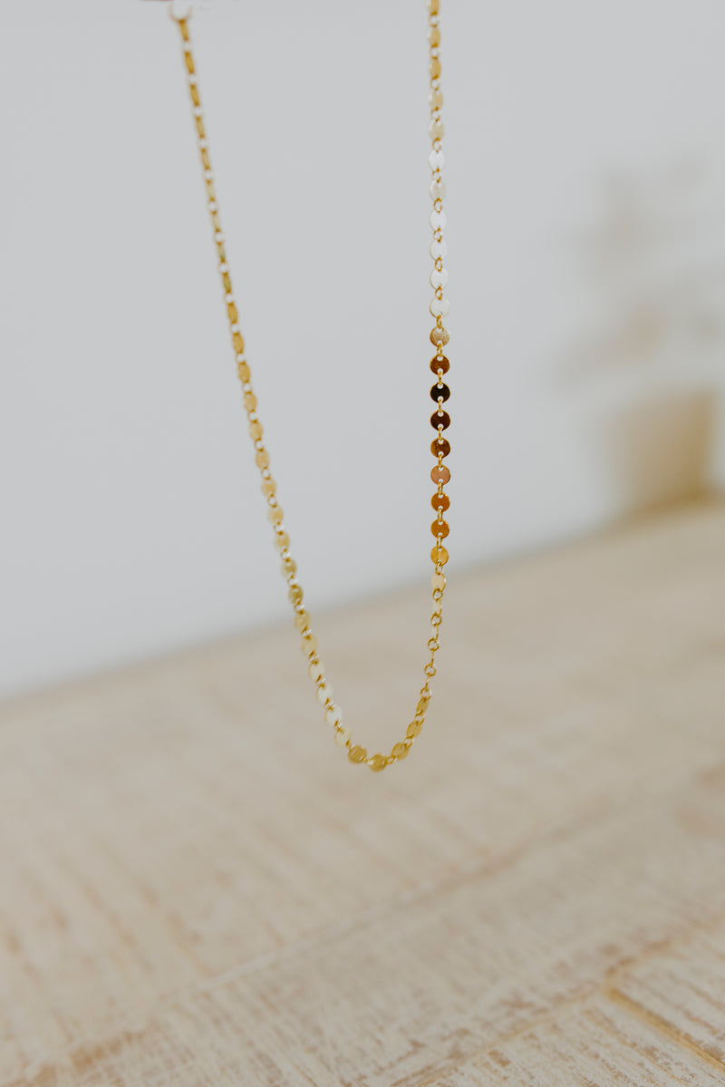 Mini Disc Gold Chain Necklace