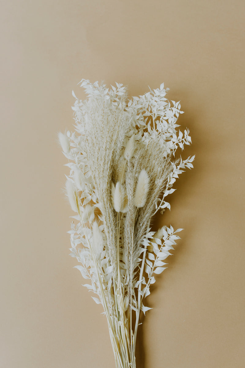 White Boho Scandi Dried Flowers Mix
