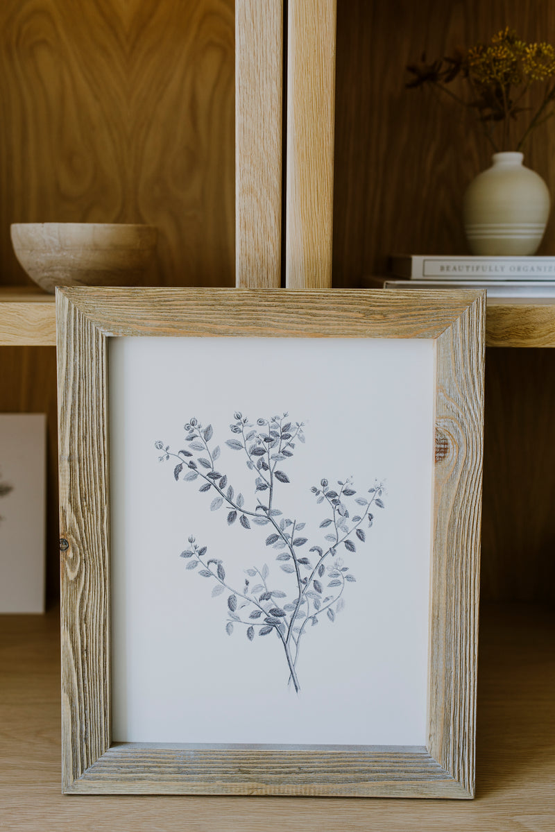 Foliage Art Print