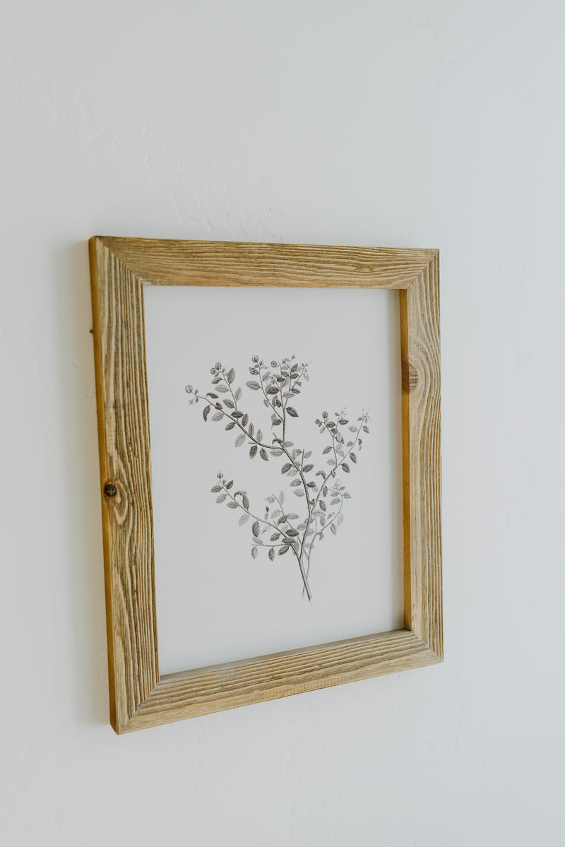 Foliage Art Print