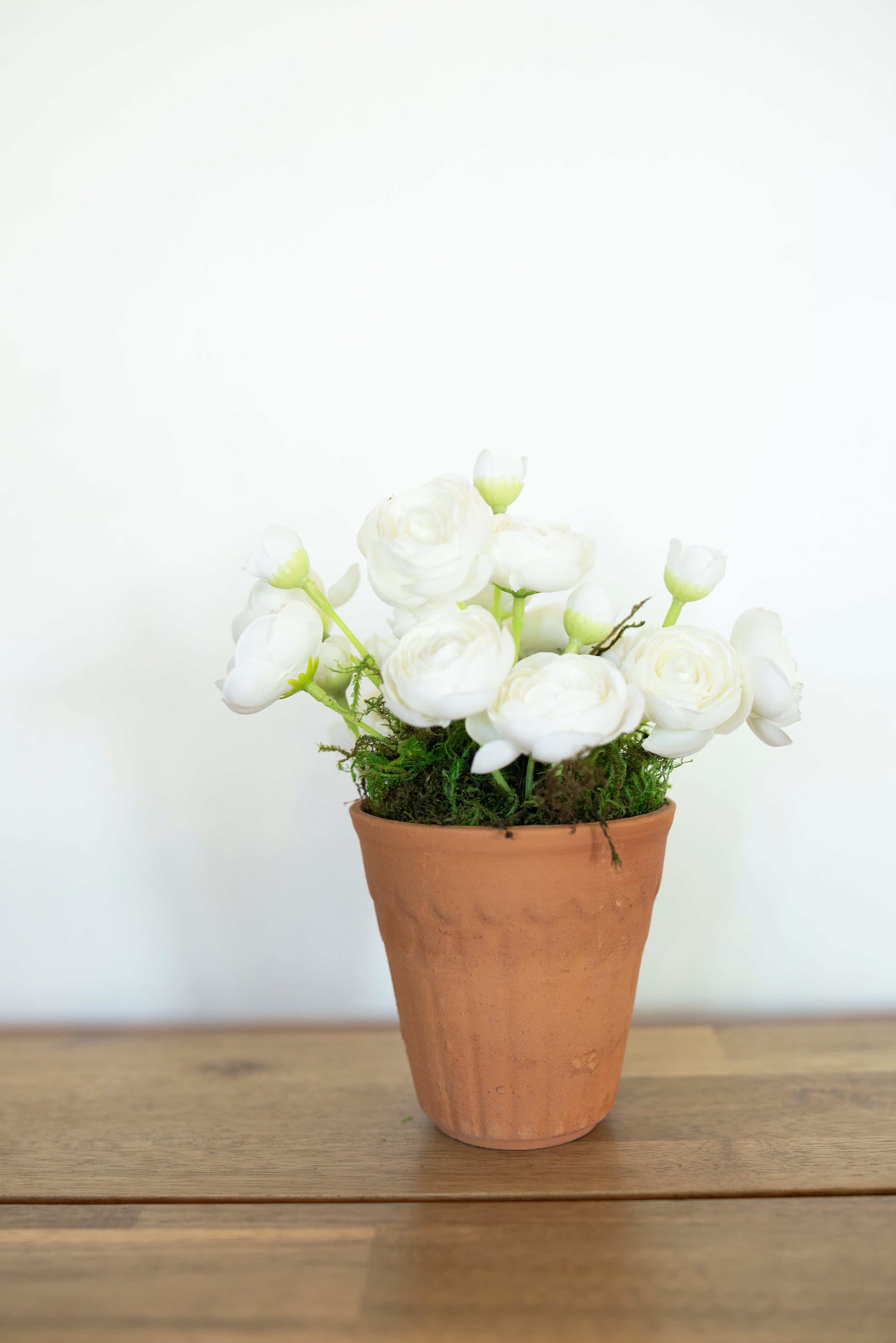 Small Potted Peony Planters