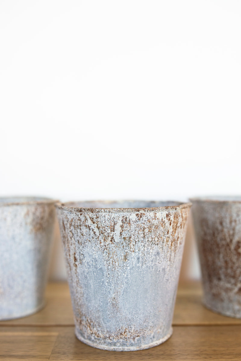 Grey Metal Vase + Scalloped Base