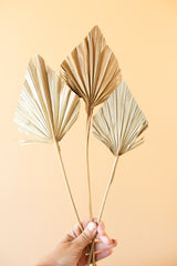 Palm Leaf Palm Spear