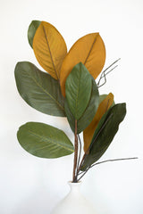 Magnolia Branch