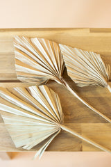 Palm Leaf Palm Spear